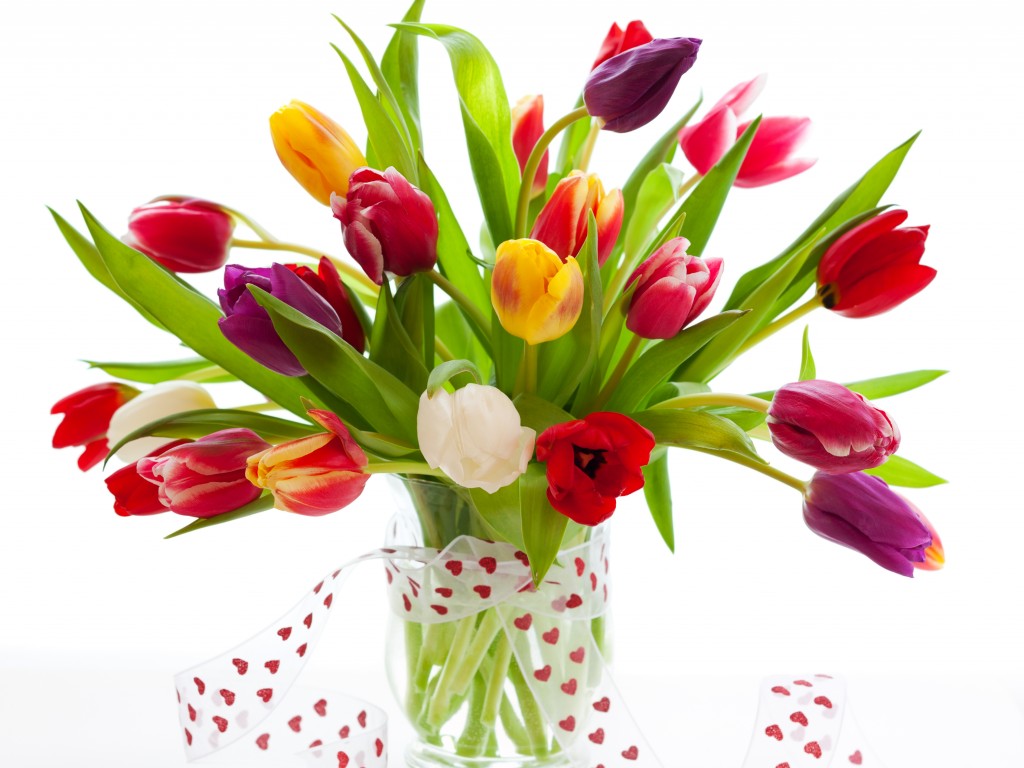 Tulips-flowers-33551630-1024-768