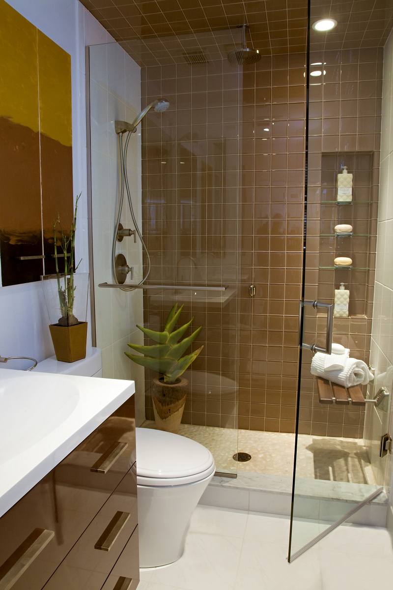 glass-enclosure-very-small-bathroom-interior-design