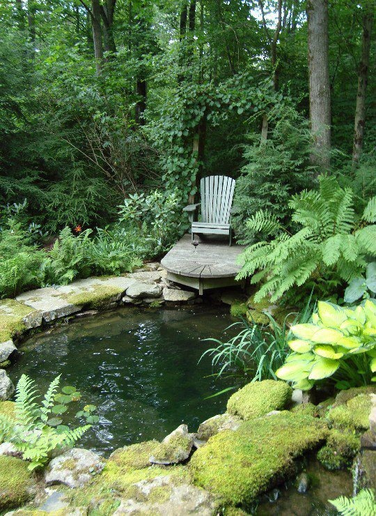 Backyard Pond Design Ideas 15