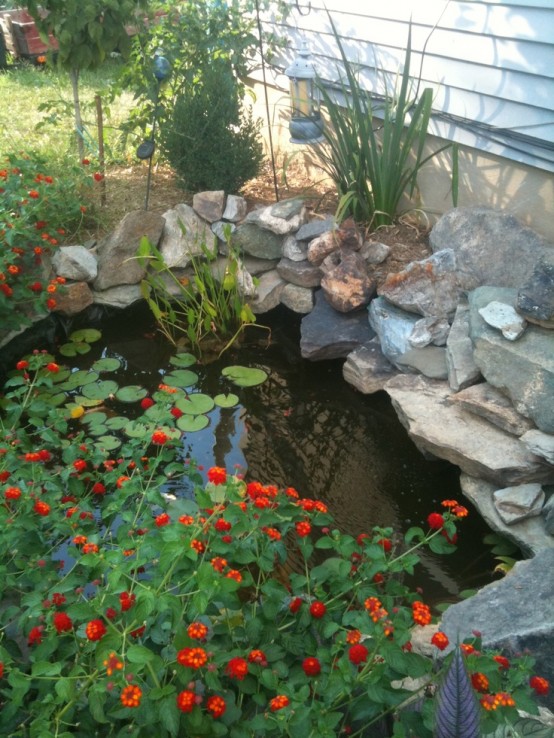 Backyard Pond Design Ideas 16