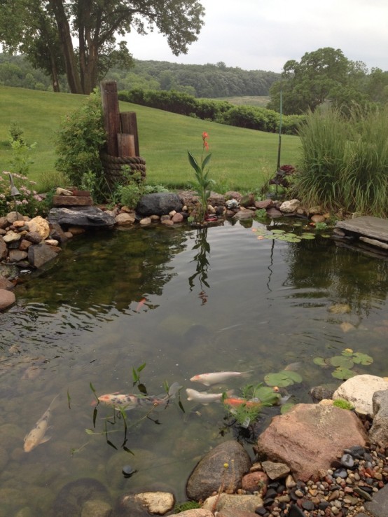Backyard Pond Design Ideas 25