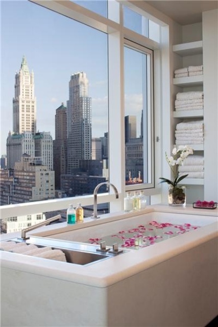 Bathroom Designs With View 25