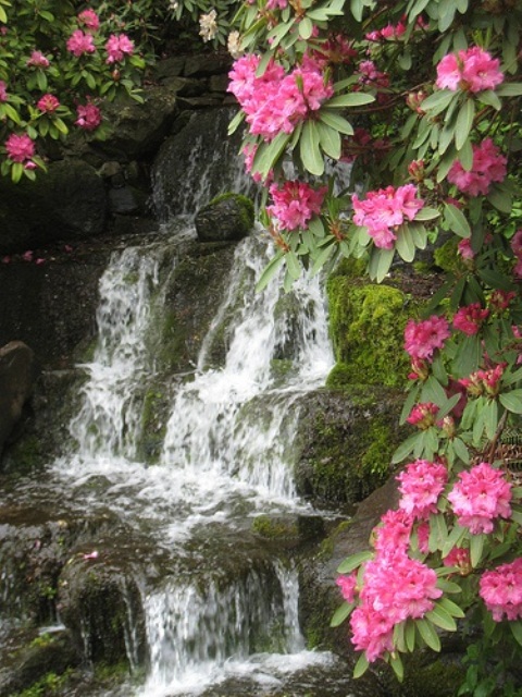 Garden And Backyard Waterfalls Ideas 24