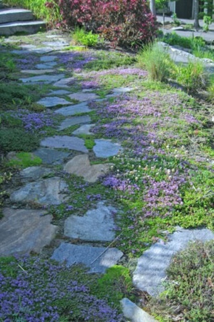 Garden Stone Path 30