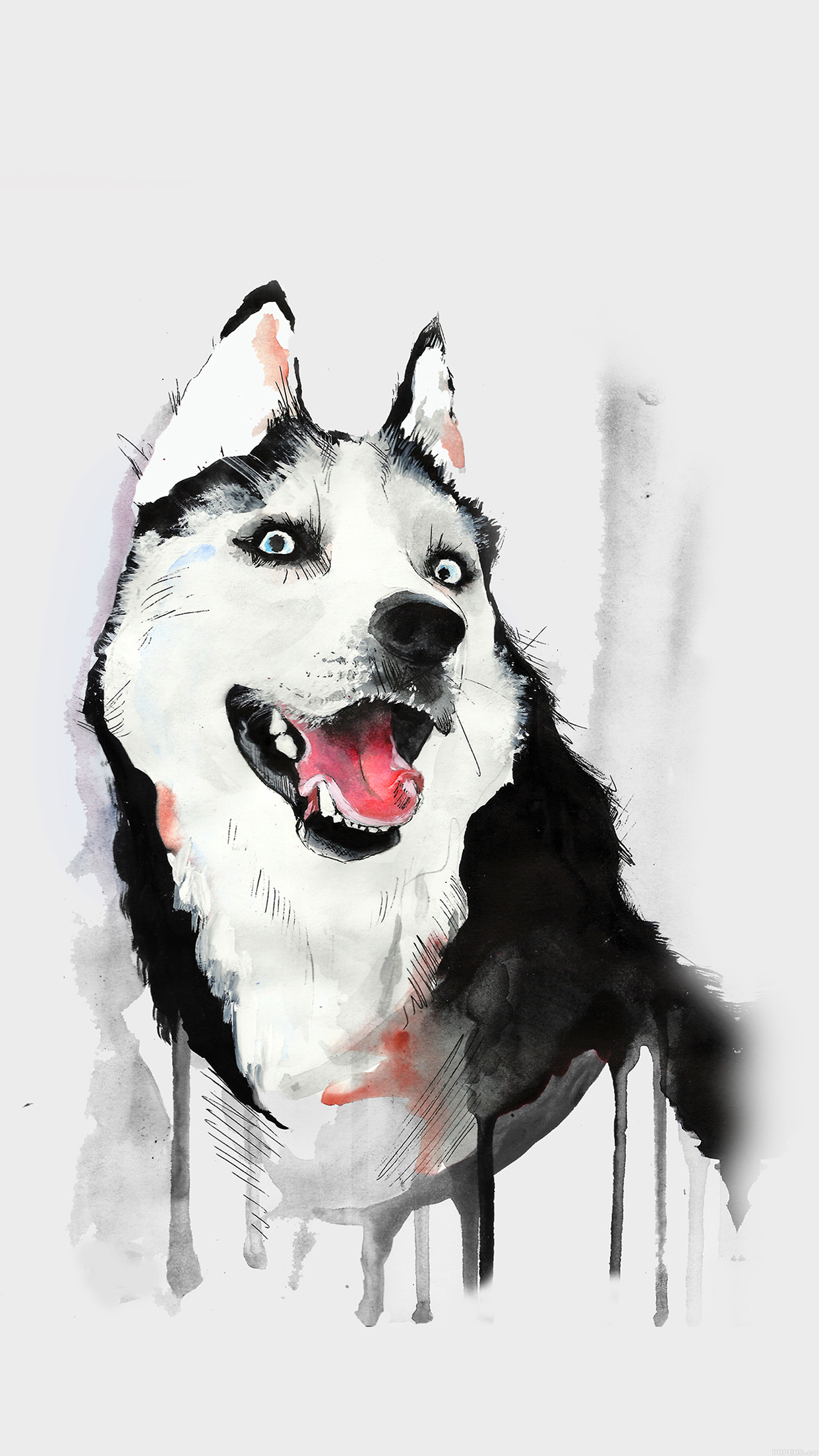 Husky Dog Watercolor Illustration iPhone 6 Plus HD Wallpaper