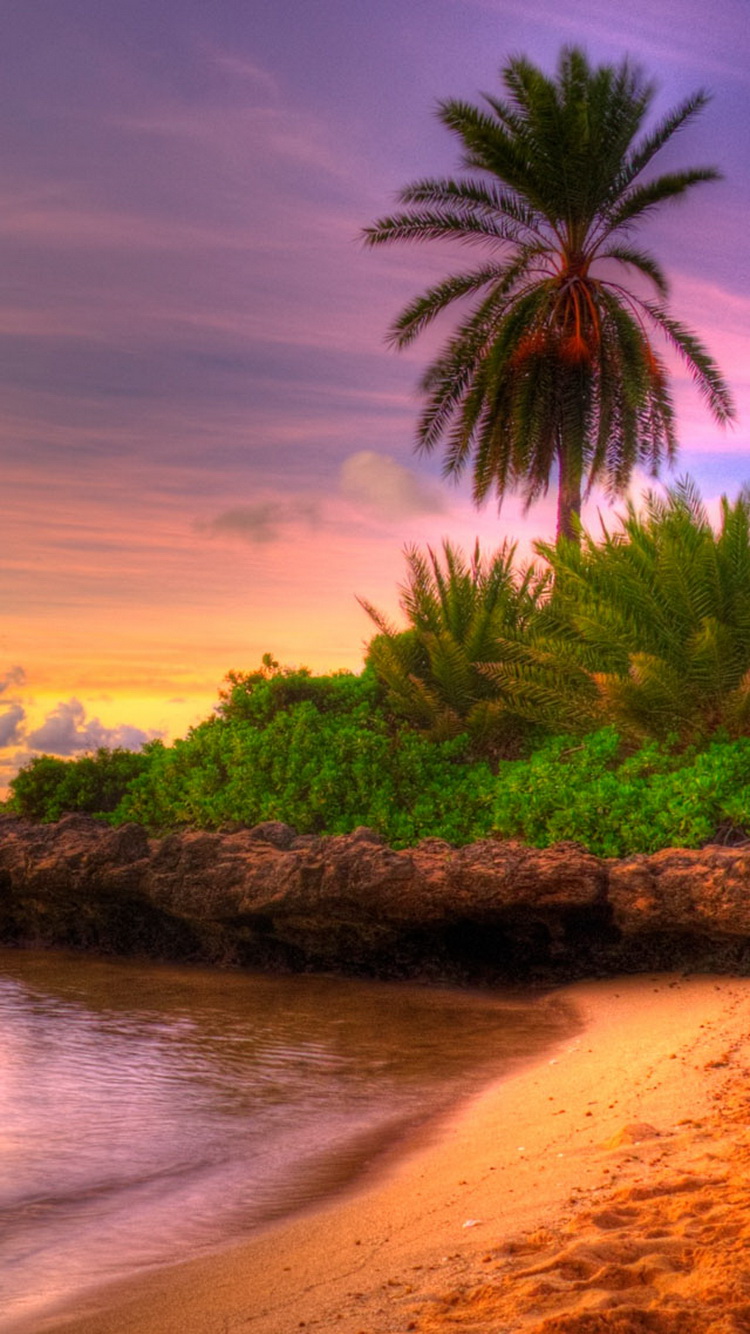 Beach Sunset Tropical Island iPhone 6 Wallpaper