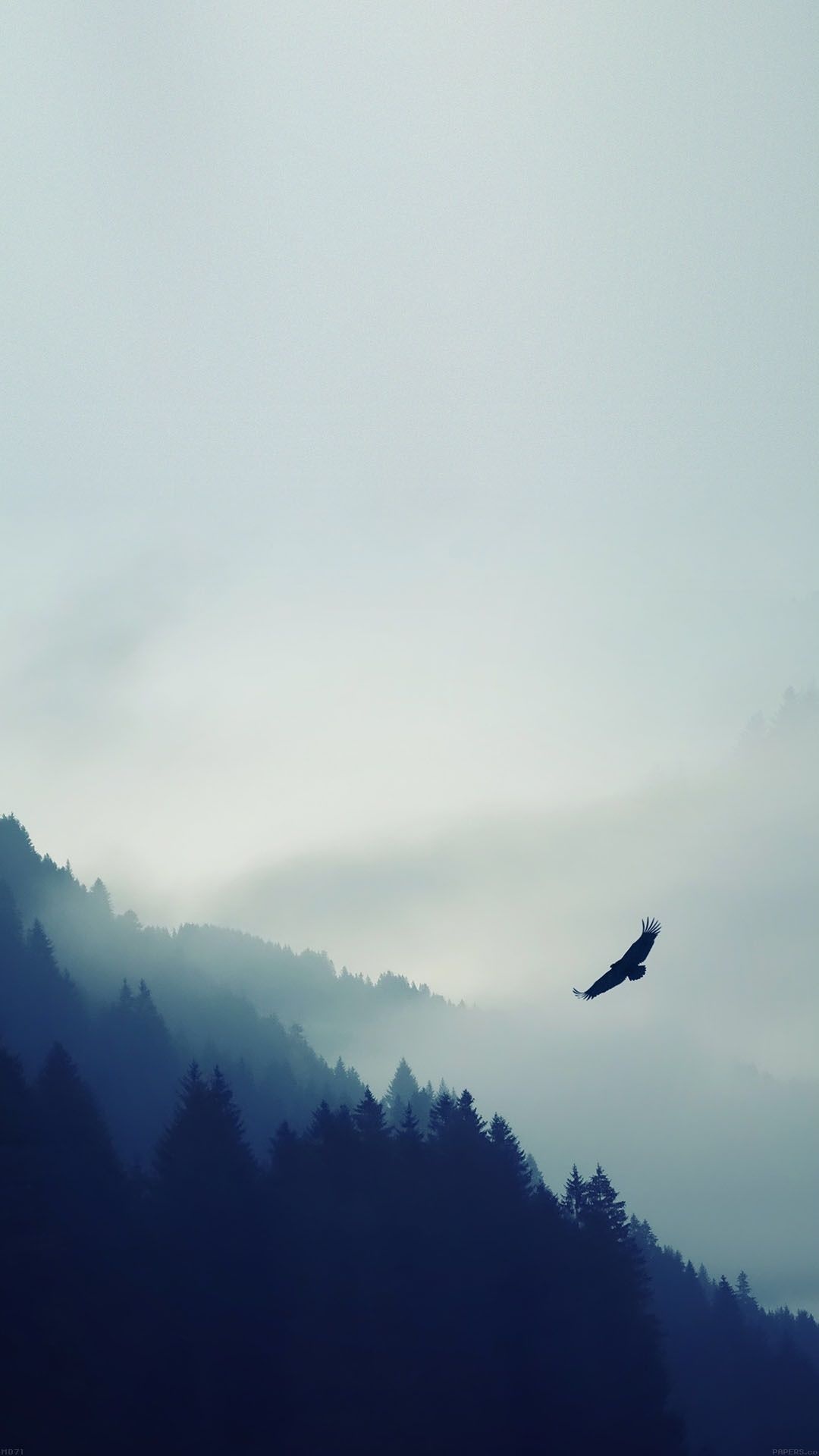 Bird Flying Over Foggy Forest iPhone 6 Plus HD Wallpaper