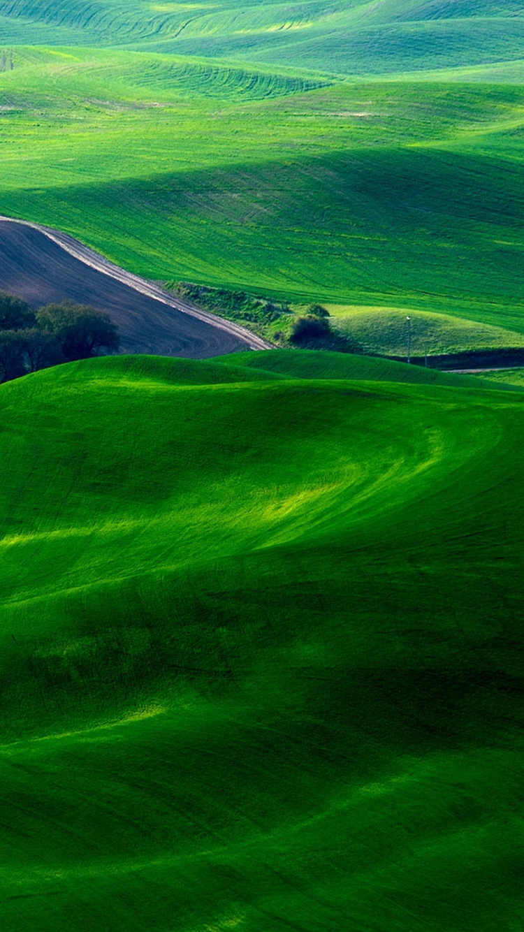 Dreamy Green Fields Countryside iPhone 6 Wallpaper