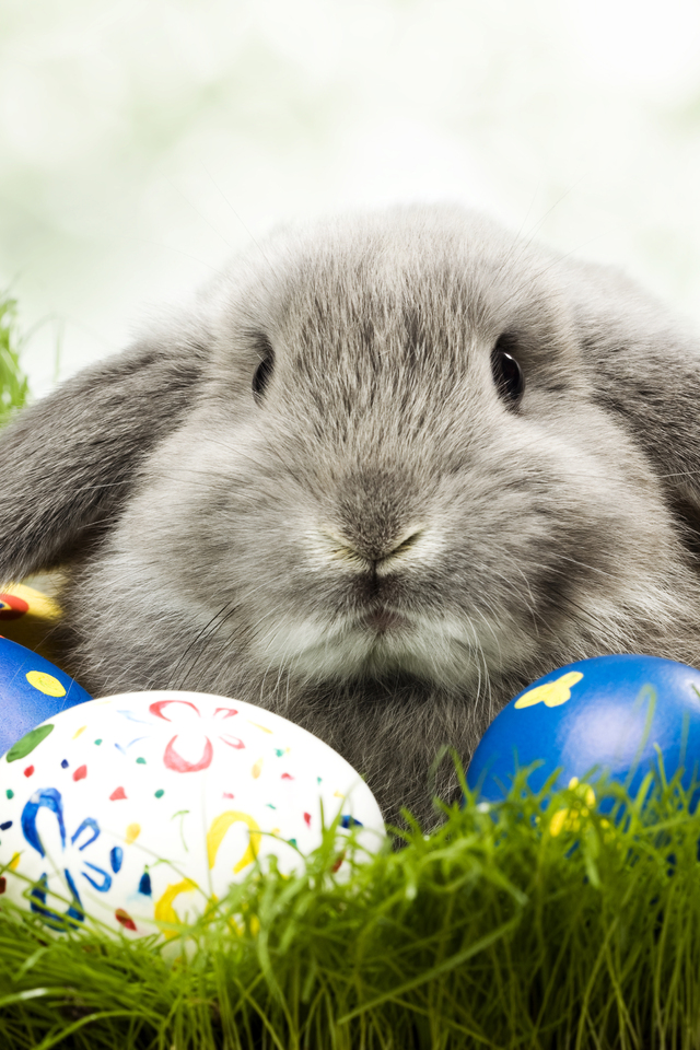 Easter Eggs Bunny iPhone 4 - iPhone 5 retina wallpaper