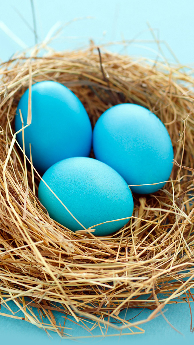 Easter blue Eggs iPhone 5s wallpaper