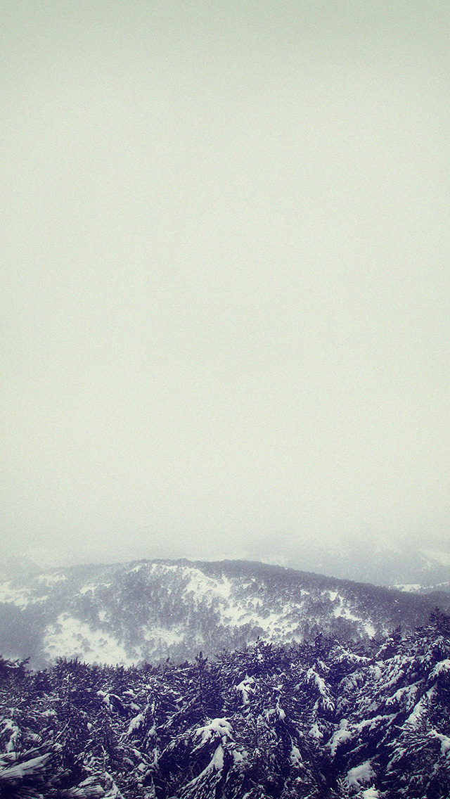 Foggy Sky Winter Mountain Forest Landscape iPhone 5 Wallpaper
