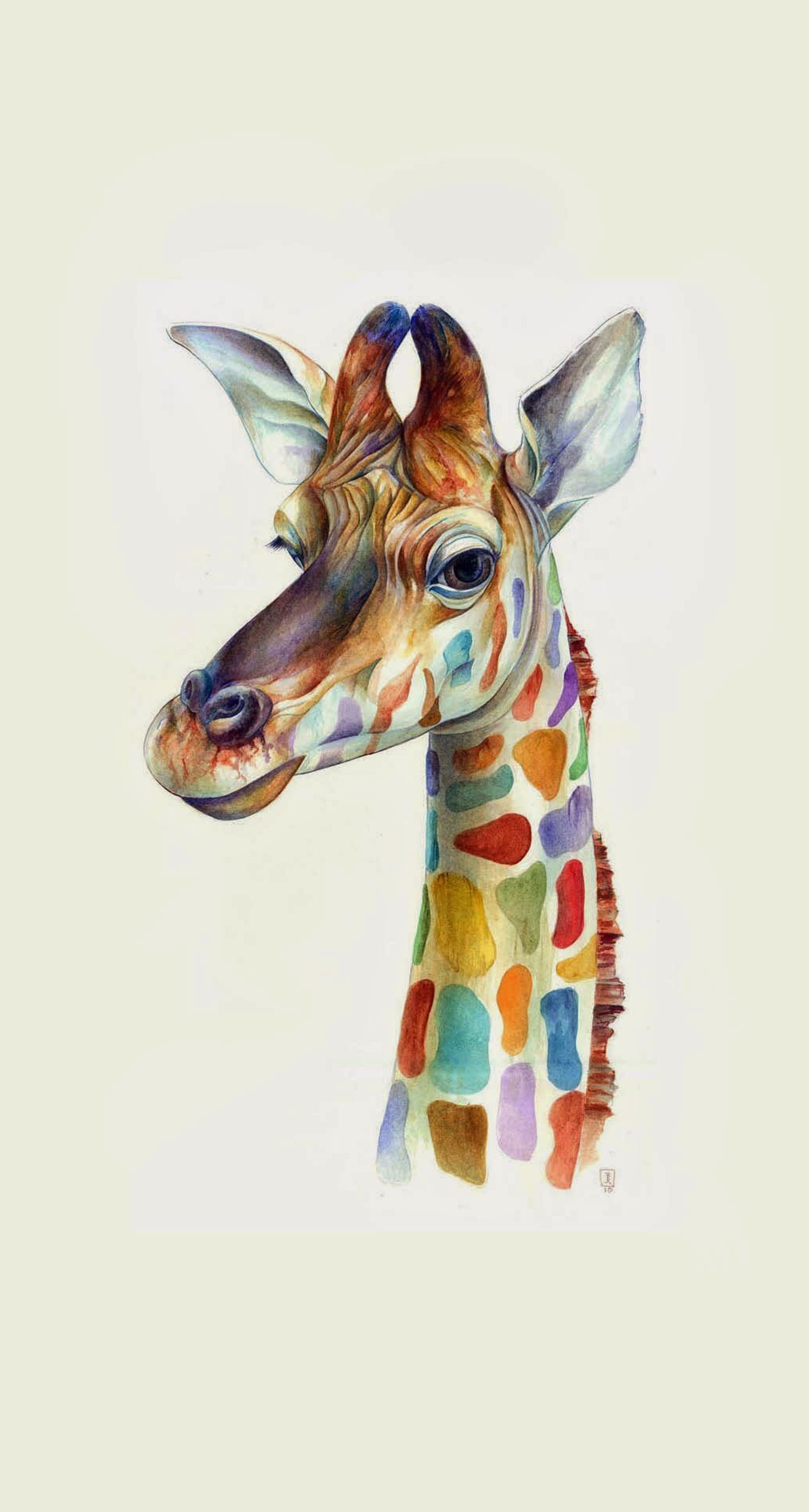 Friendly Giraffe Colorful iPhone 6 Plus HD Wallpaper