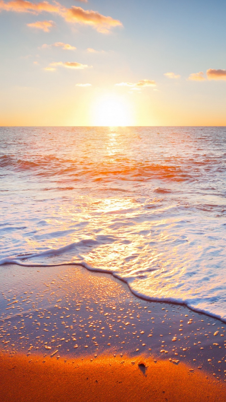 Golden Beach Sunrise iPhone 6 Wallpaper