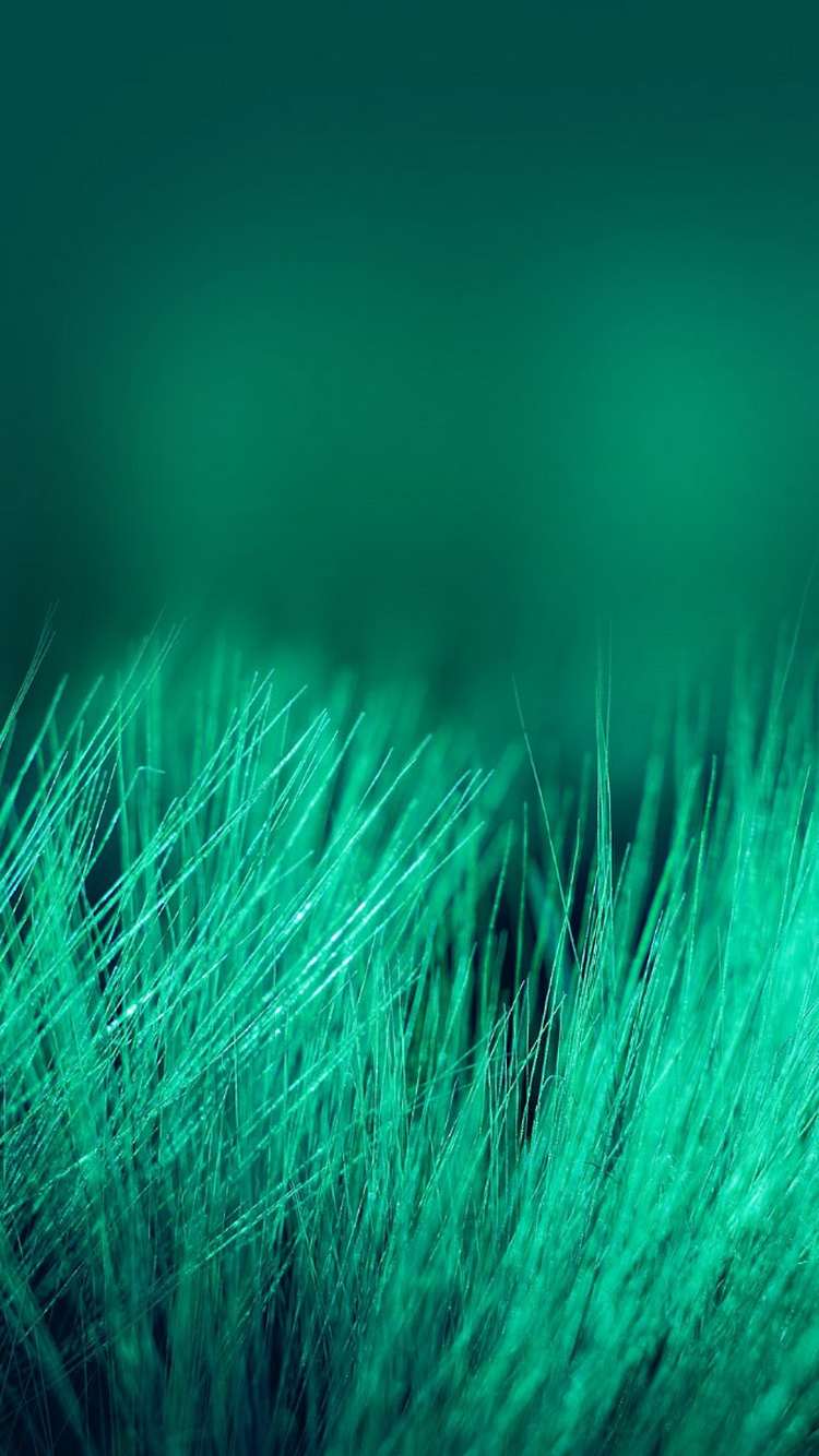 Green Grass Threads Depth Of Field iPhone 6 Wallpaper
