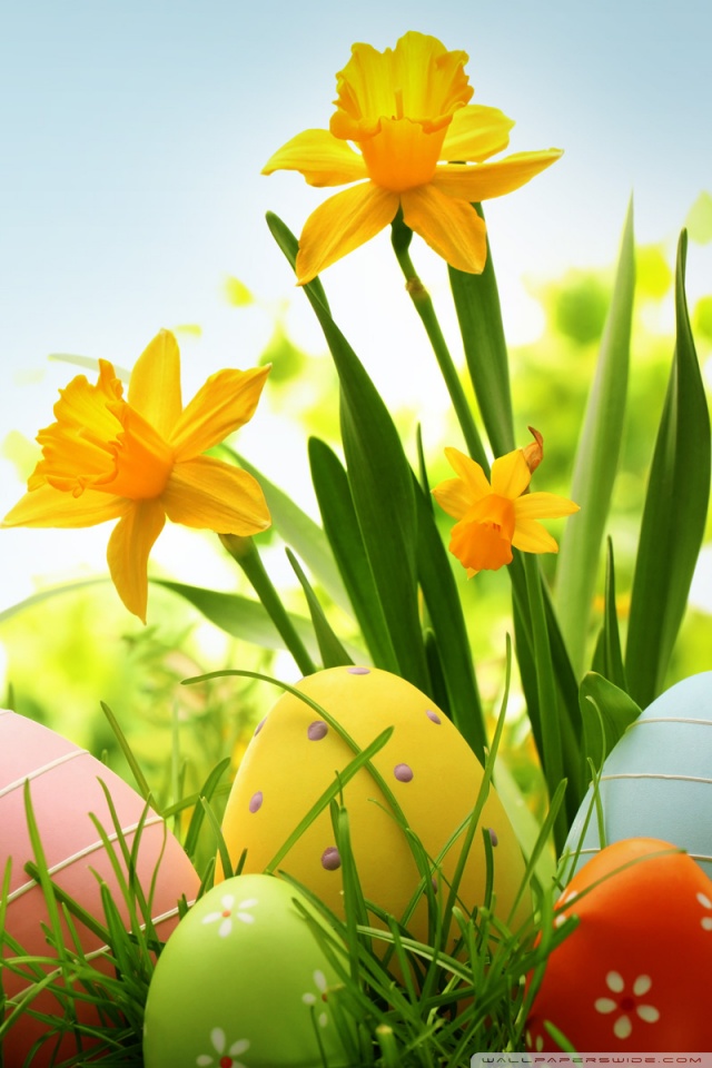 30 Cute Easter iPhone Wallpapers - Available Ideas