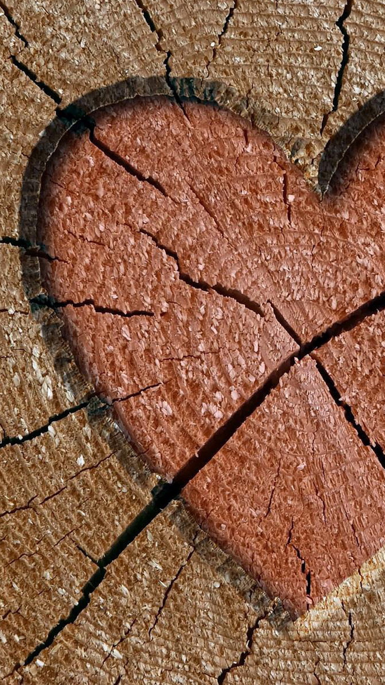 Heart Engraved In Wood Log iPhone 6 Wallpaper