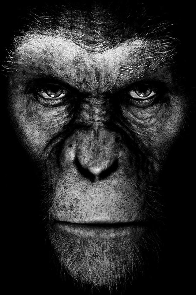 Rise Of The Planet Of The Apes iPhone Wallpaper