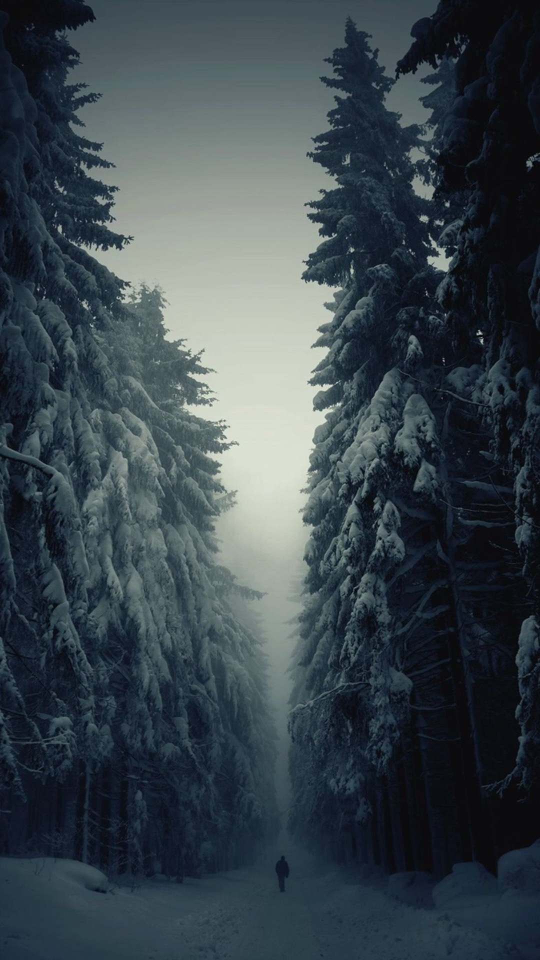 Snow Forest Lonely Walk iPhone 6 Plus HD Wallpaper