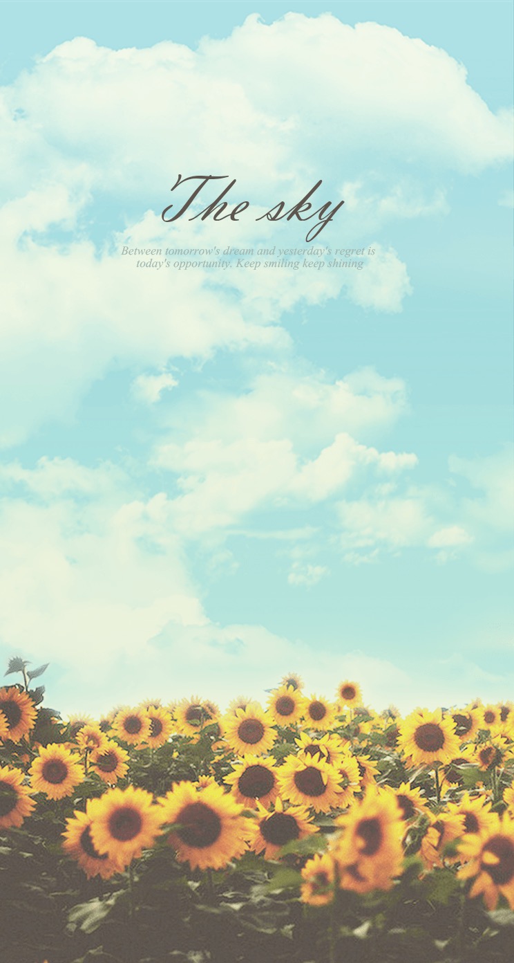 Sunflower Sky Keep Shining iPhone 6 Plus HD Wallpaper