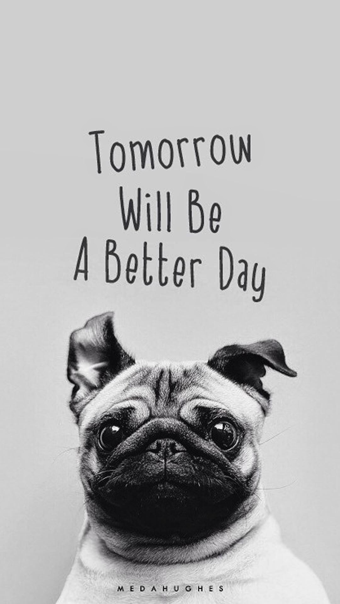 Tomorrow Will Be A Better Day Pug Face iPhone 6 Plus HD Wallpaper