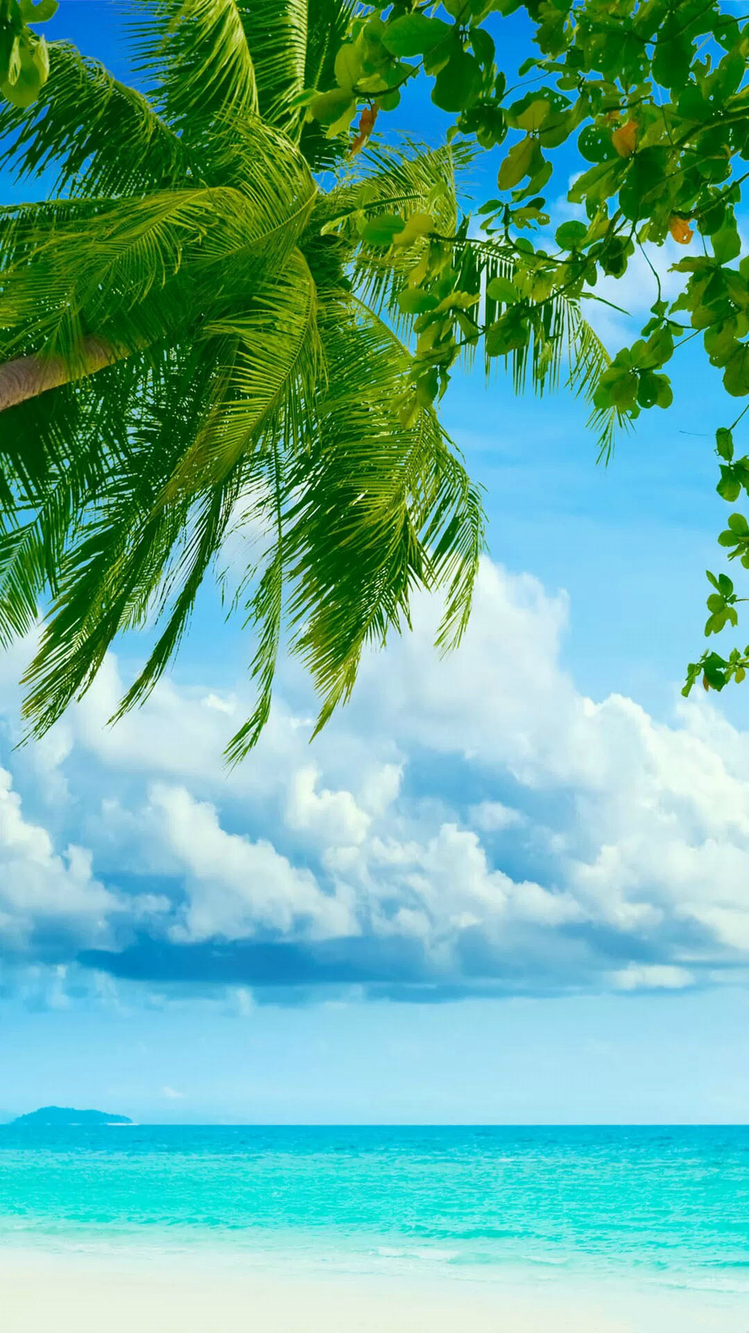 Tropical Beach Coconut Tree iPhone 6 wallpaper