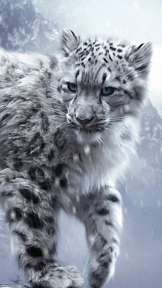 White Snow Leopard Cub iPhone 5 Wallpaper
