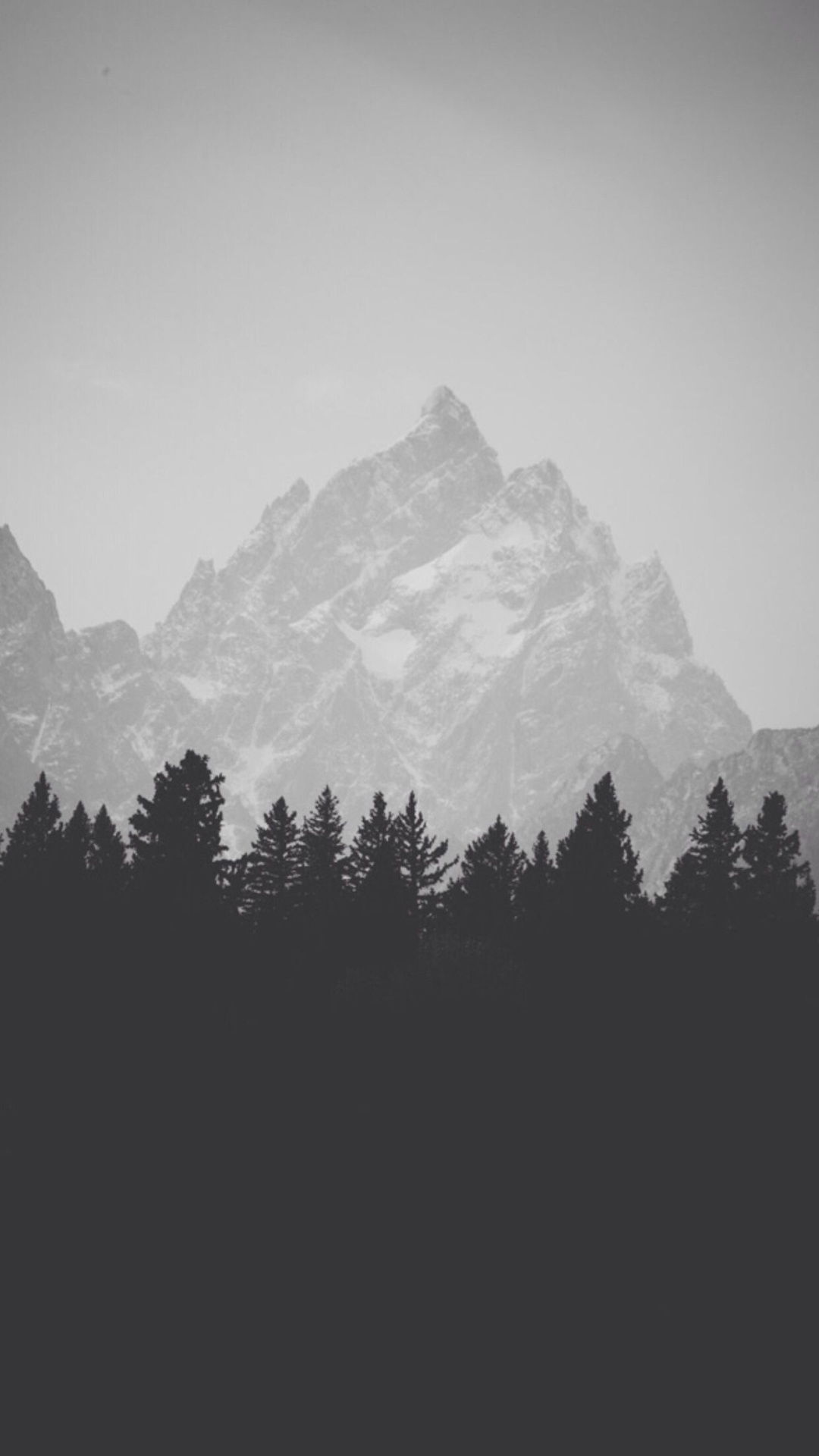 Winter Mountain Peak Pine Forest Line iPhone 6 Plus HD Wallpaper