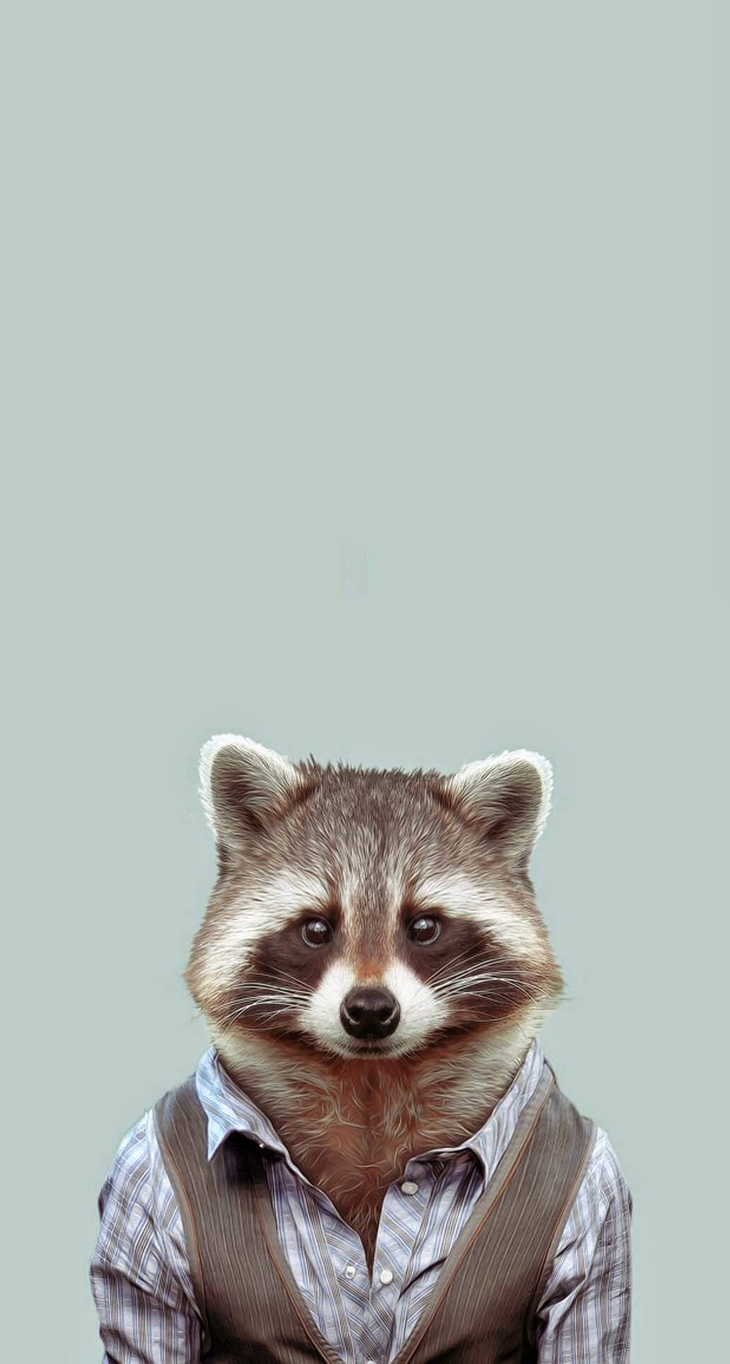 Yago Portal Zoo Portraits Common Raccoon iPhone 6 Plus HD Wallpaper