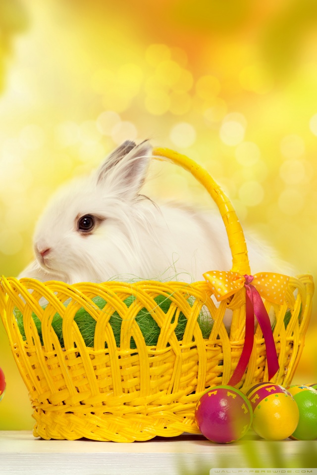 happy_easter_bunny-wallpaper-640x960