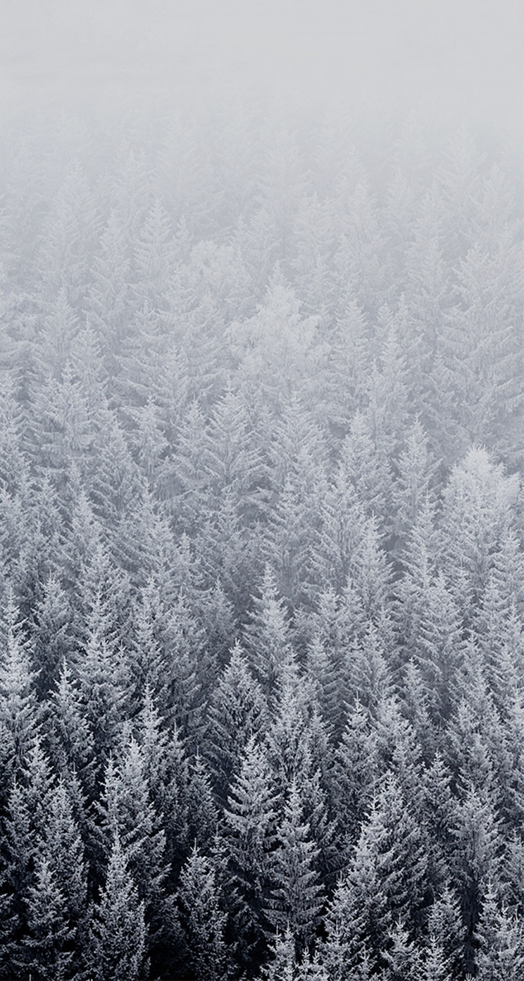 iOS 8 Default Forest Snow Parallax iPhone 5 Wallpaper