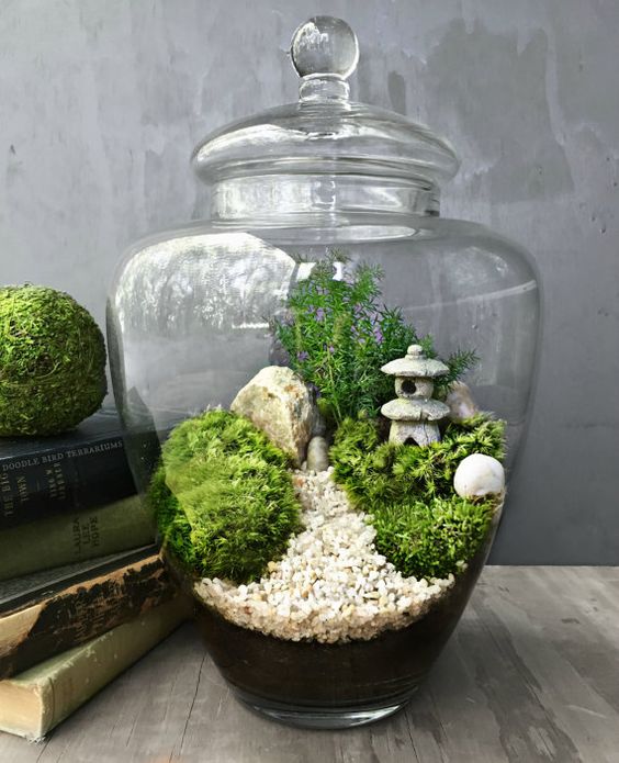 miniature-indoor-garden-terrarium