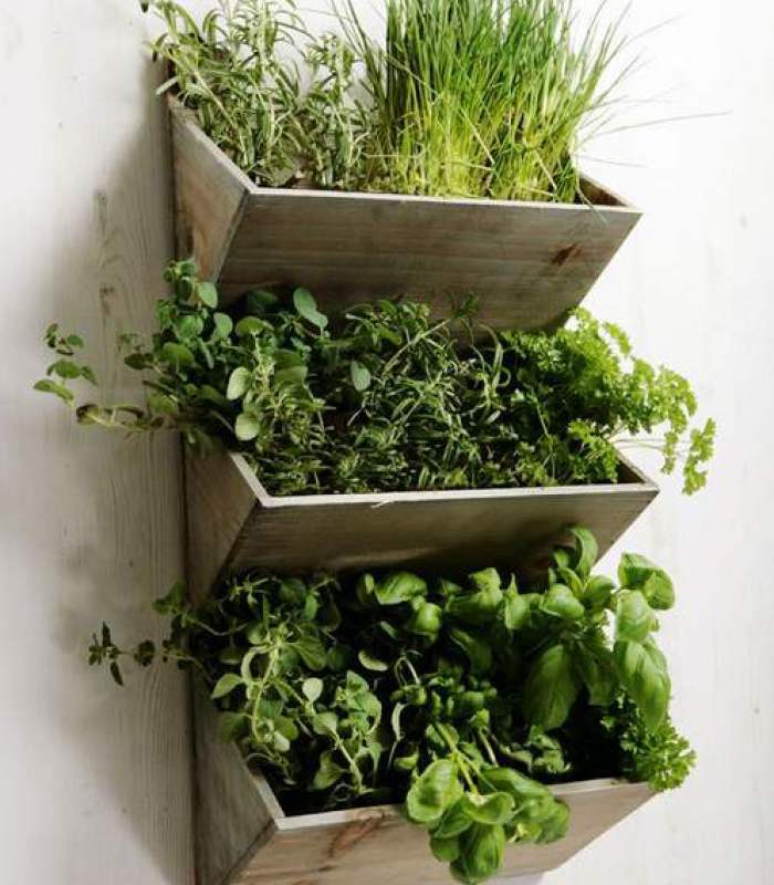 vertical-herb-gaden