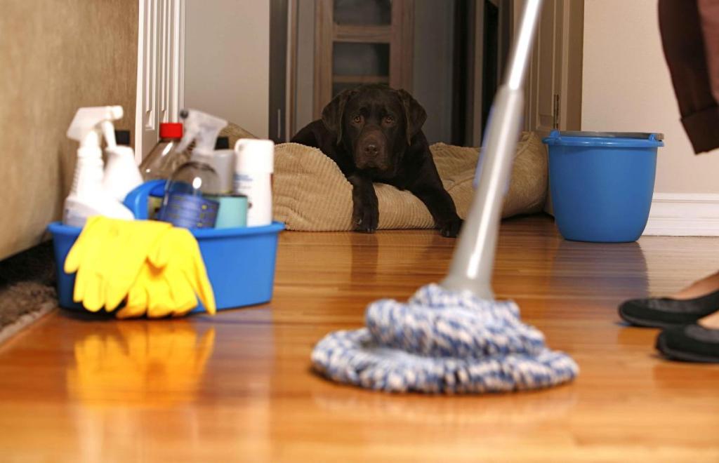 End of lease and exit cleaning services
