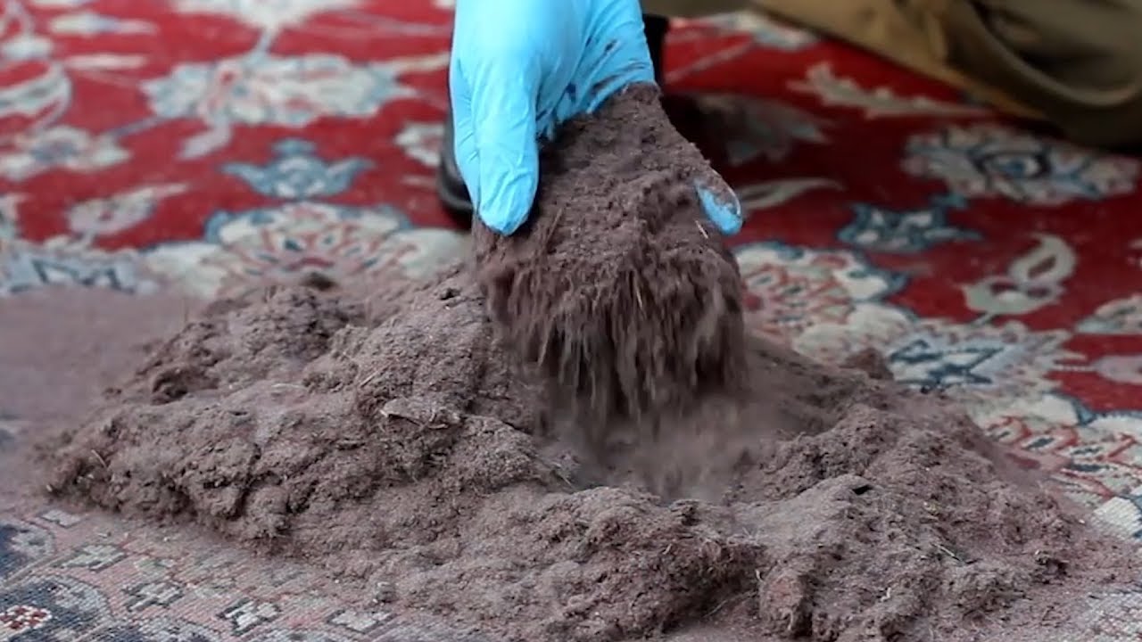 Prevent Dirt from Coming into Your House
