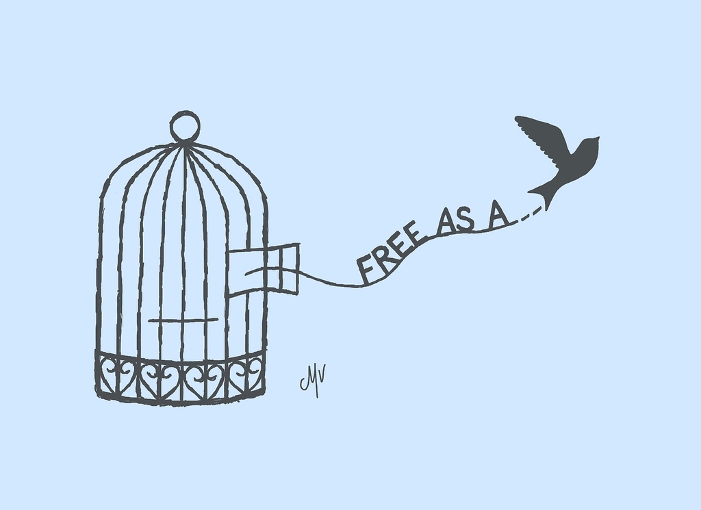 You Are A Free Bird