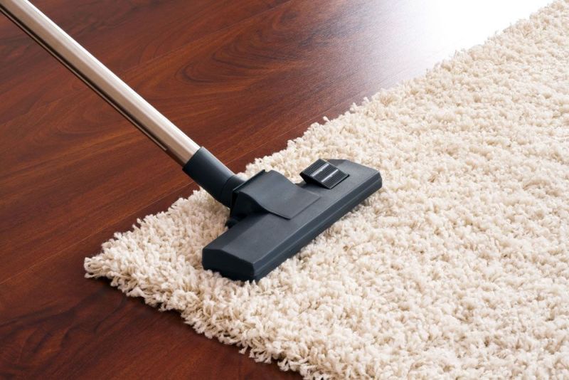 Clean Carpet With Vacuum